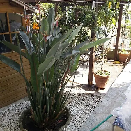 Il Giardino Di Peo דירה בוליאסקו