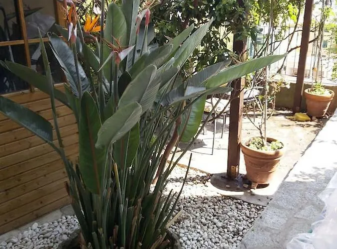 Il Giardino Di Peo Appartement Bogliasco